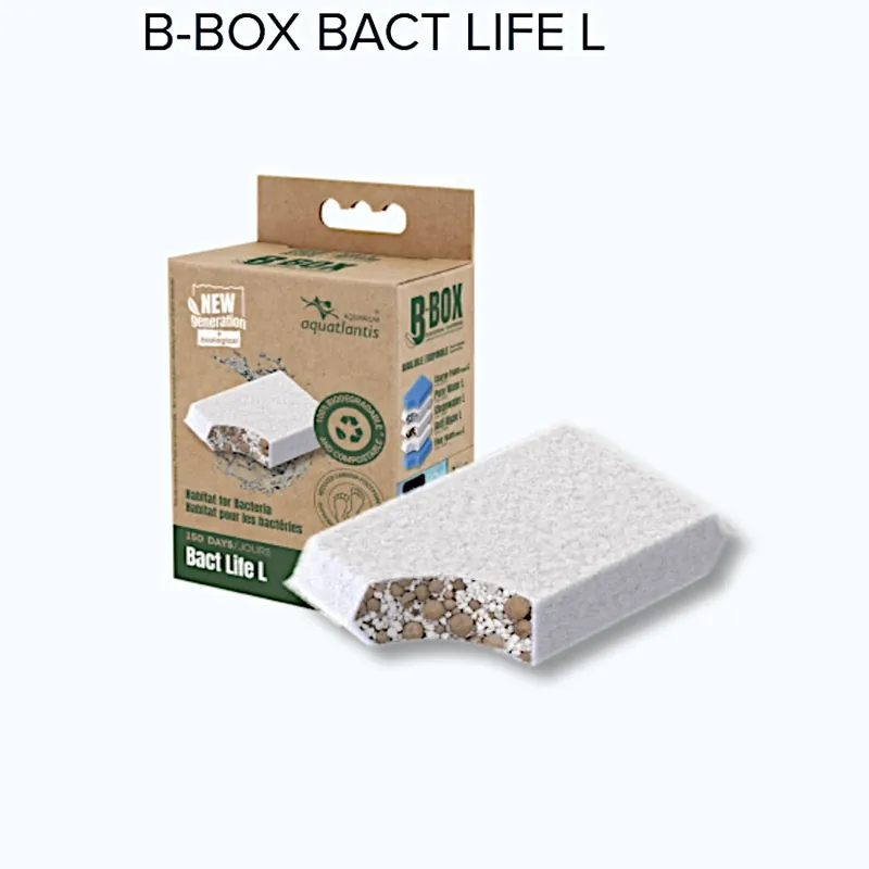 Knallerangebot aquatlantis B-BOX Bact Life L